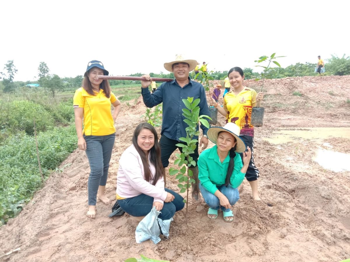 reforest5