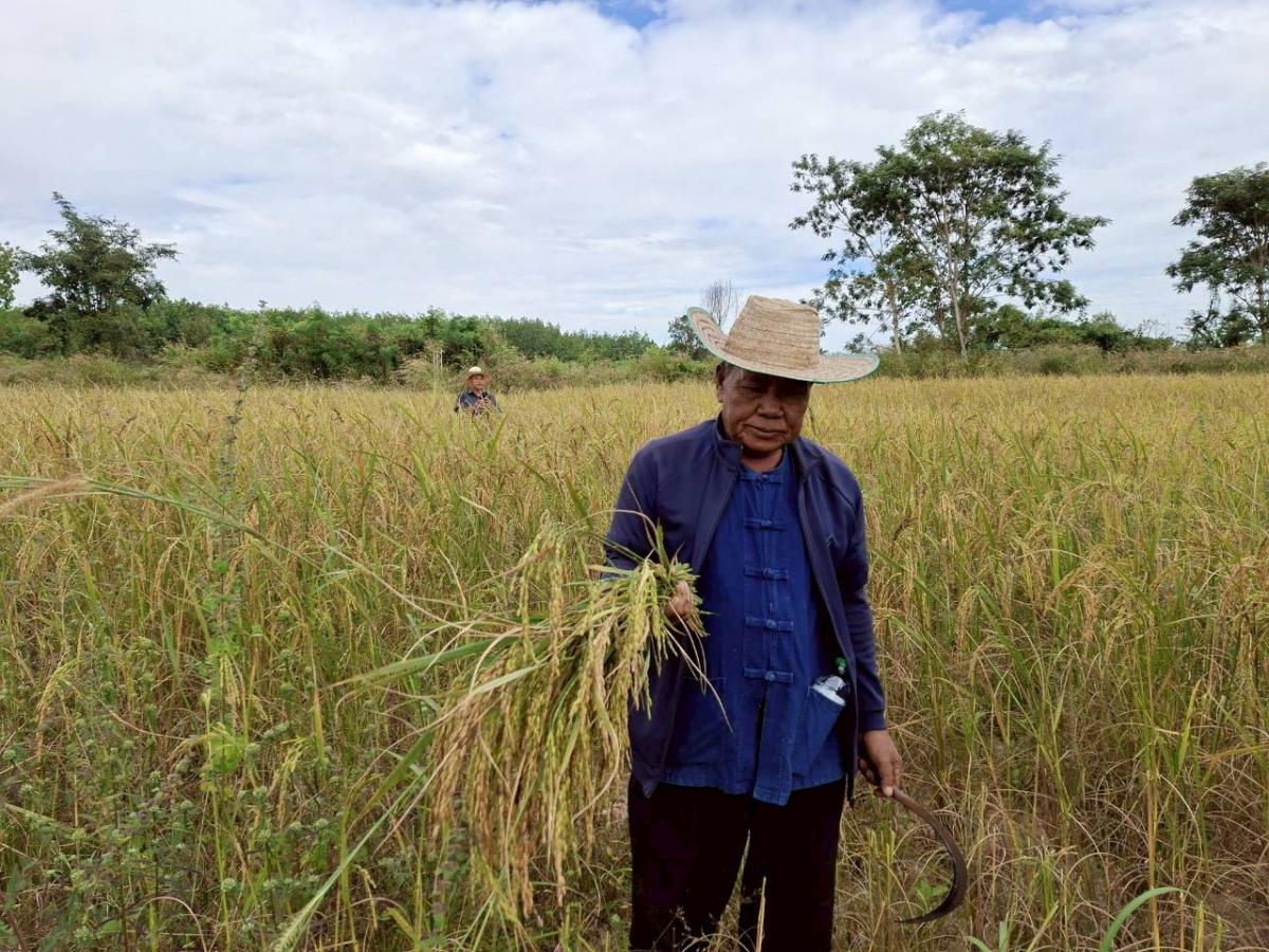 LINEALBUM-6925112413