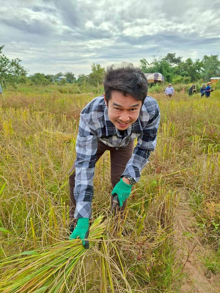 LINEALBUM-6925112419