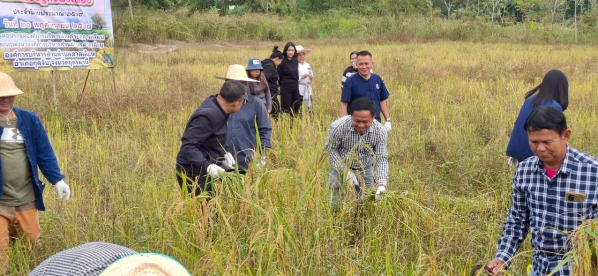 LINEALBUM-692511242---Copy