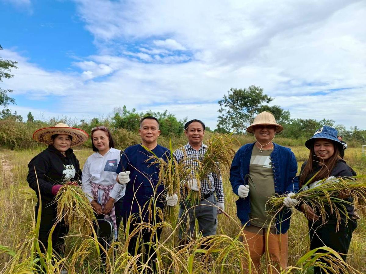 LINEALBUM-6925112420---Copy