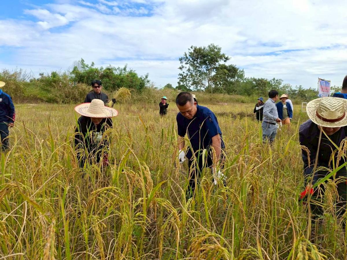 LINEALBUM-6925112421---Copy