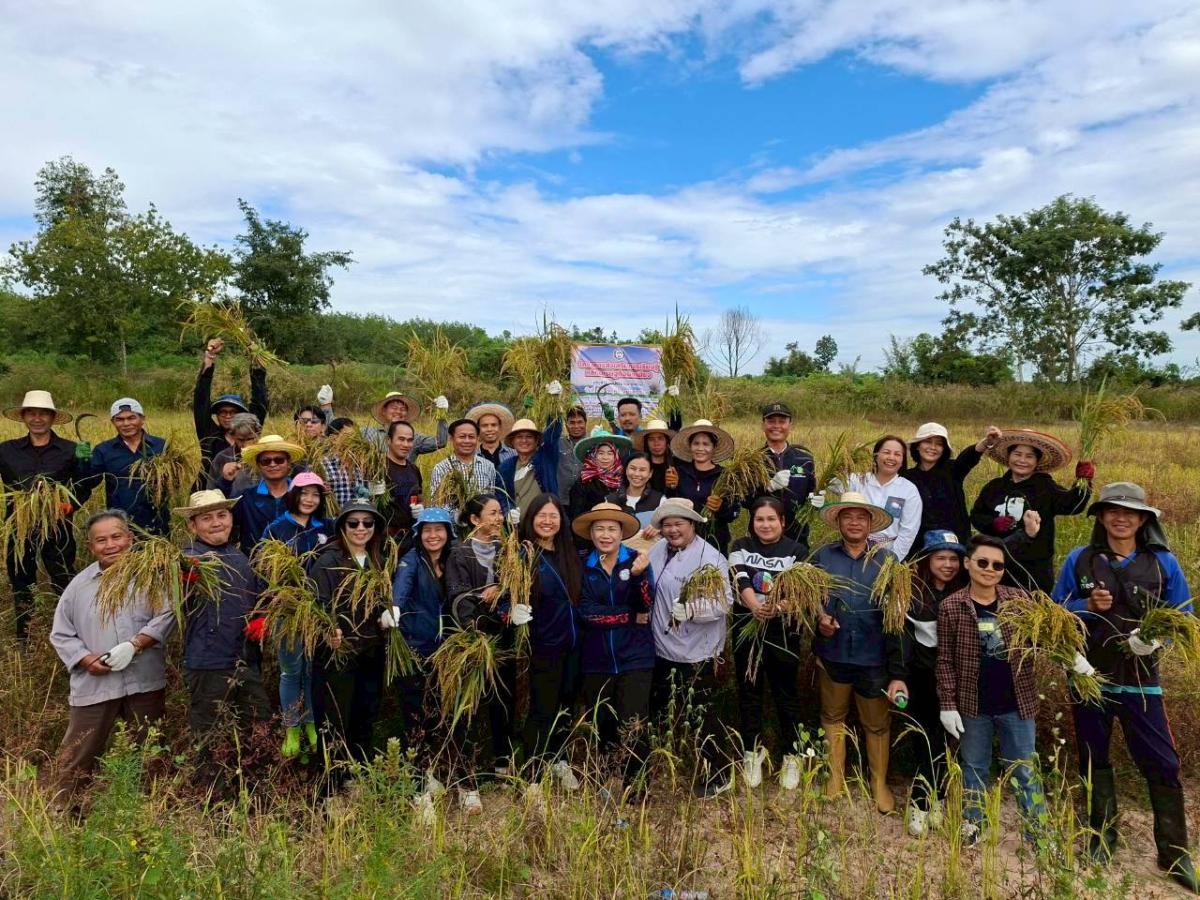 LINEALBUM-6925112424---Copy