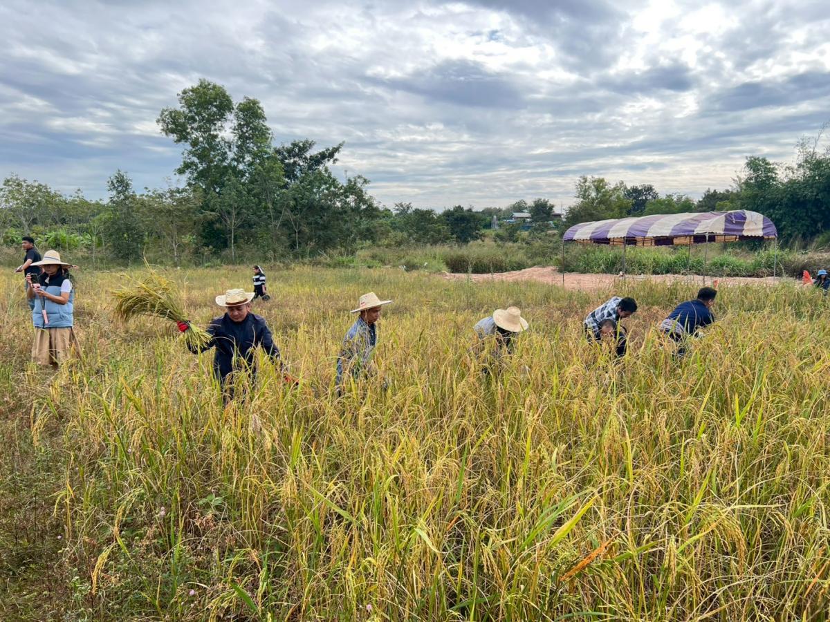 LINEALBUM-6925112428