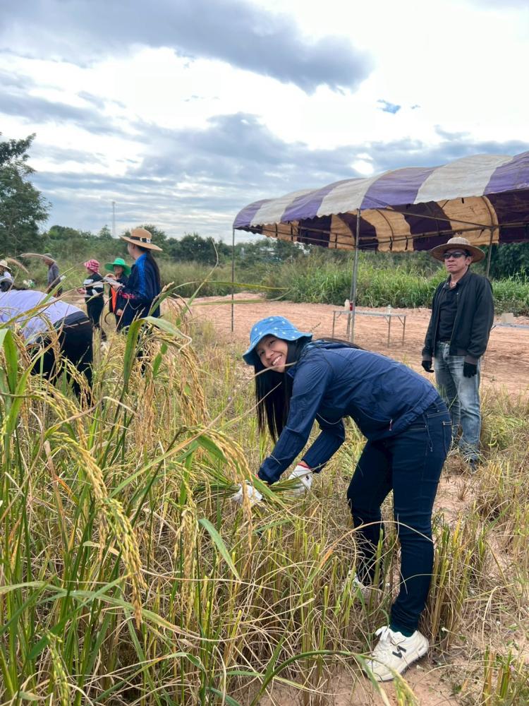 LINEALBUM-6925112431---Copy