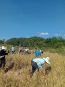 Farmar2