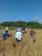 Farmer4