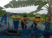 farmercovid2